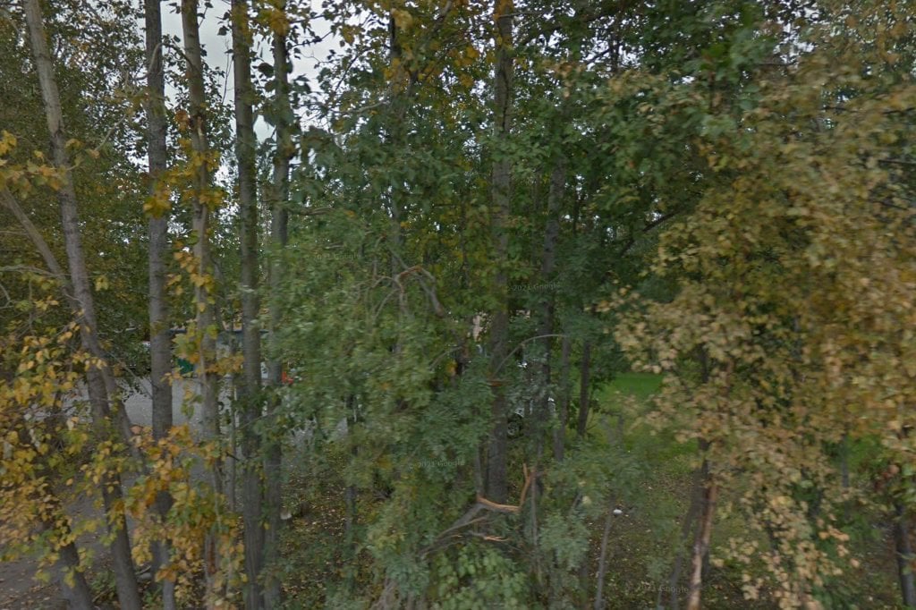 Alaska Dog & Puppy Rescue