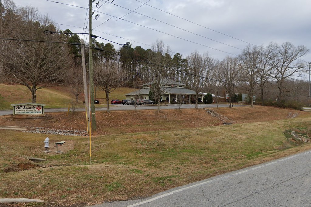 All Animals Veterinary Hospital