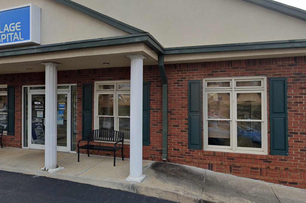 VCA Falcon Village Animal Hospital