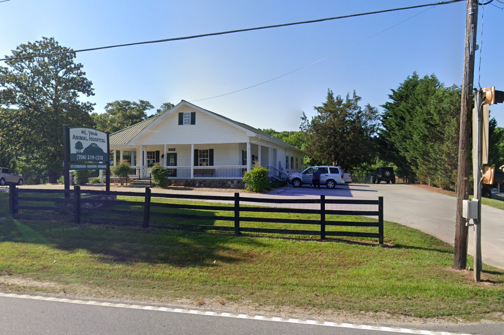 Mt Yonah Animal Hospital