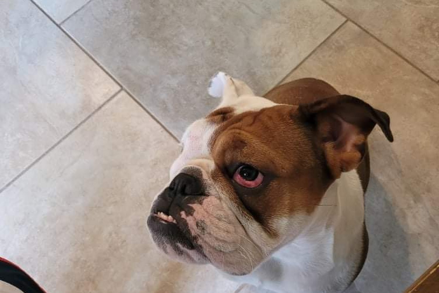 Riverside Animal Hospital