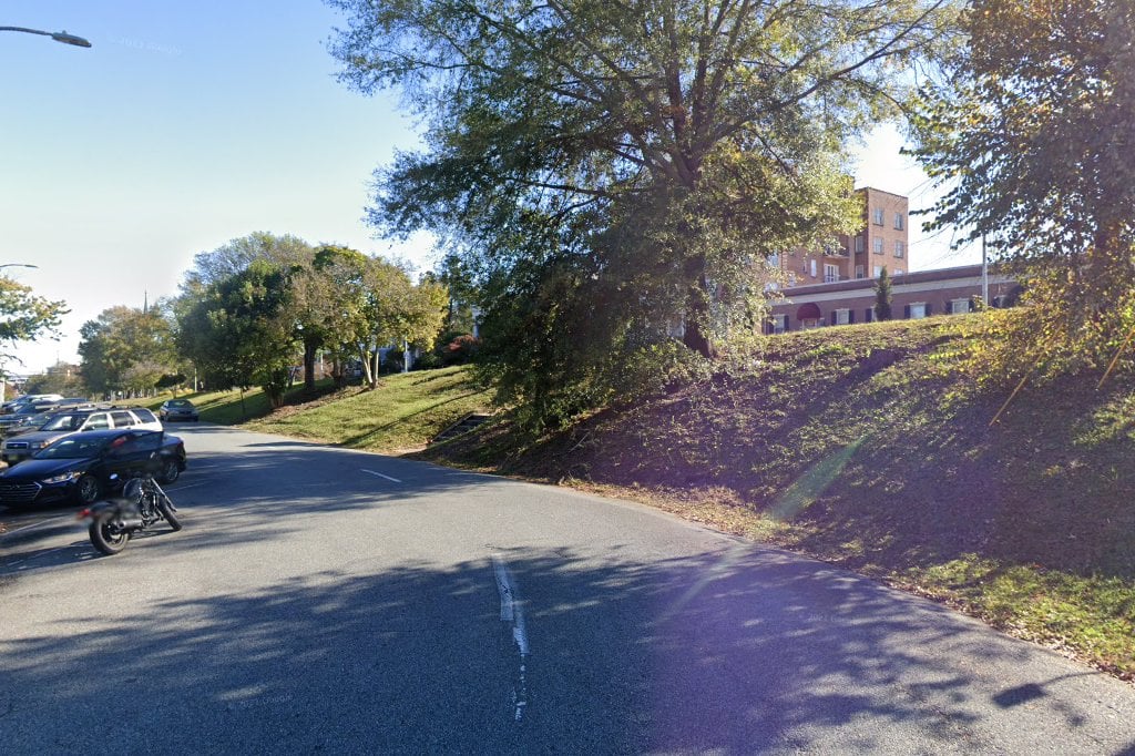 Southern Comfort Animal Rescue