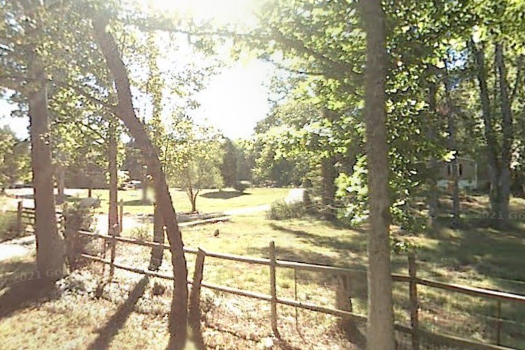 Misfit Haven Animal Rescue Inc.