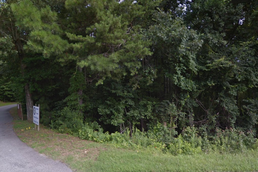 Lumpkin Co Animal Shelter