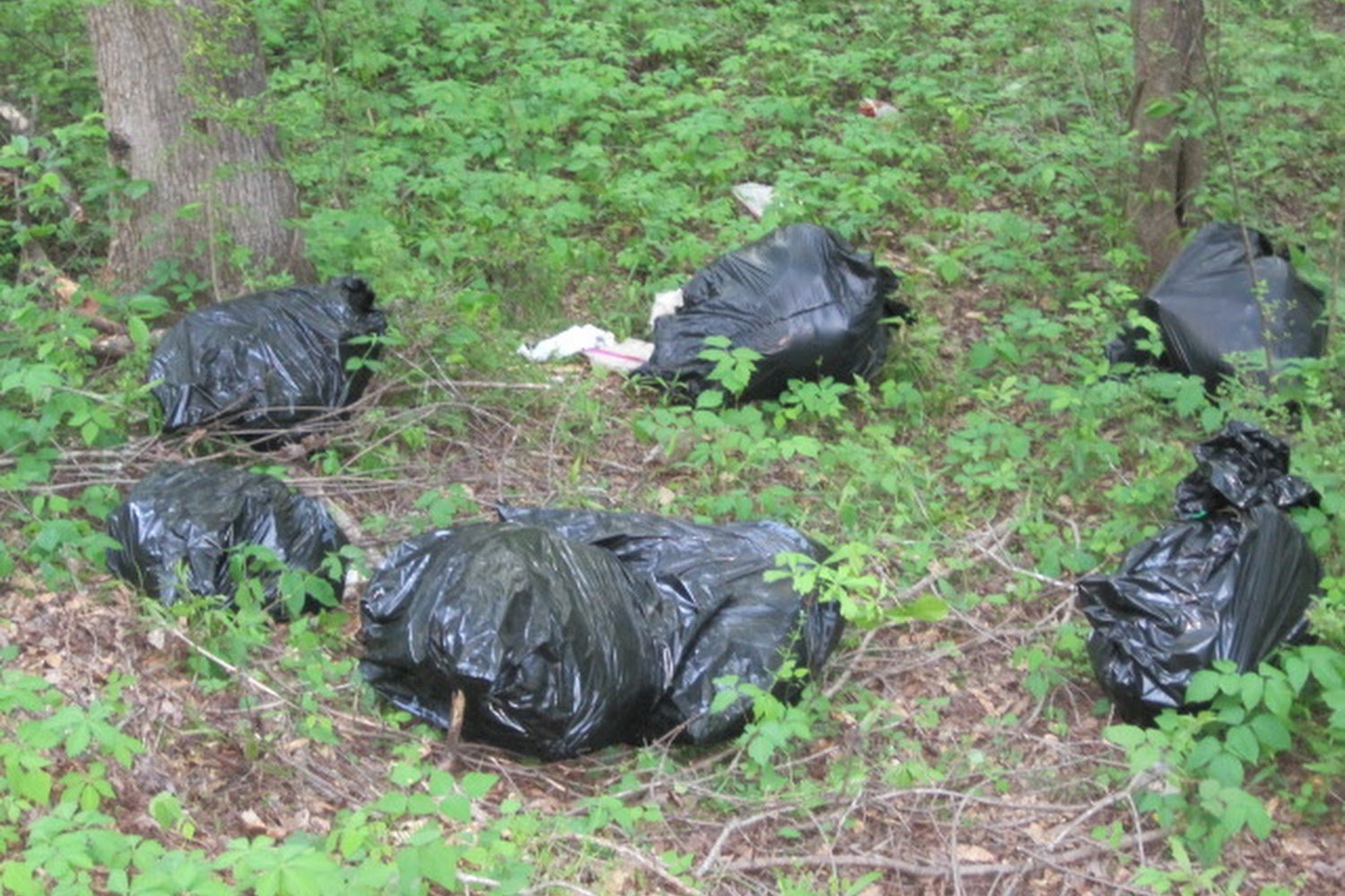 Walton County Animal Control