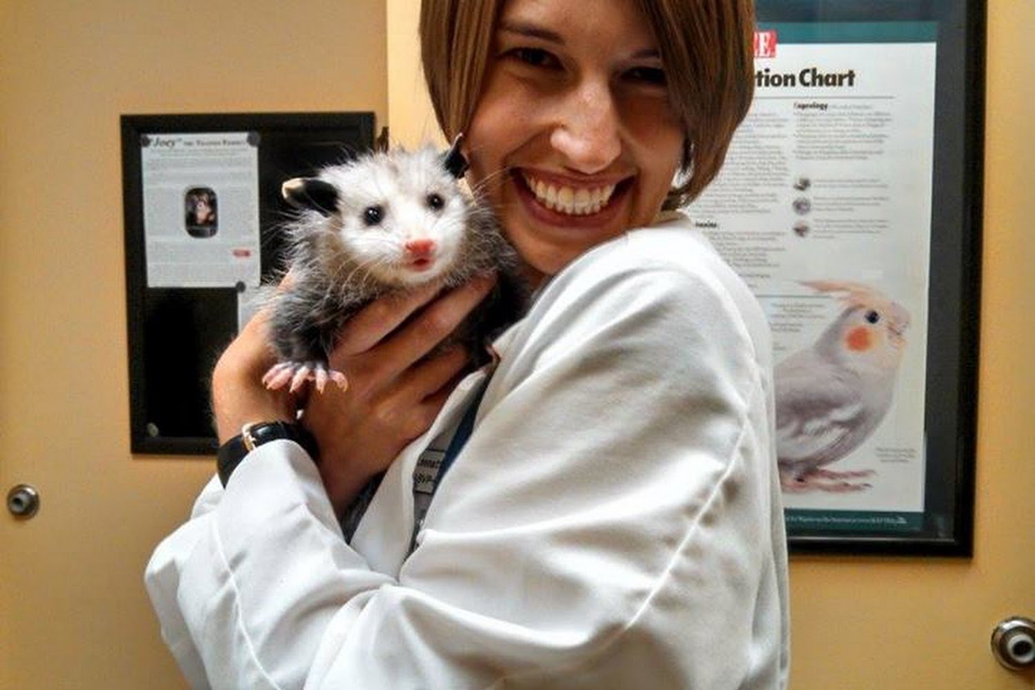 Avian and Exotic Animal Hospital of Georgia