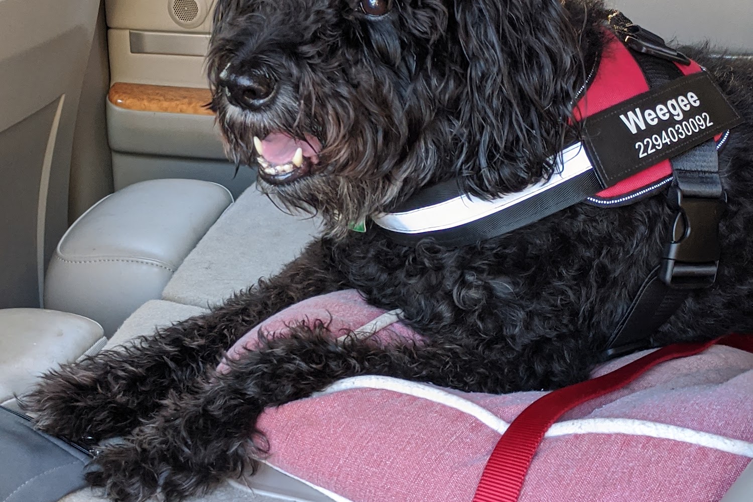 Clanton-Malphus-Hodges Veterinary Hospital & Pet Motel