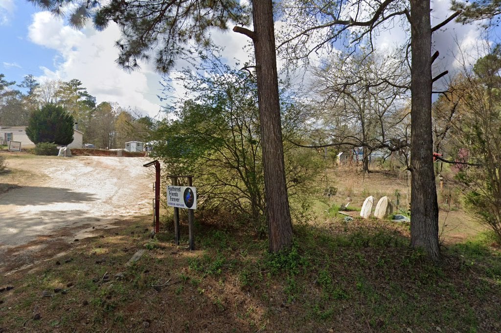 Feathered Friends Forerver Rescue