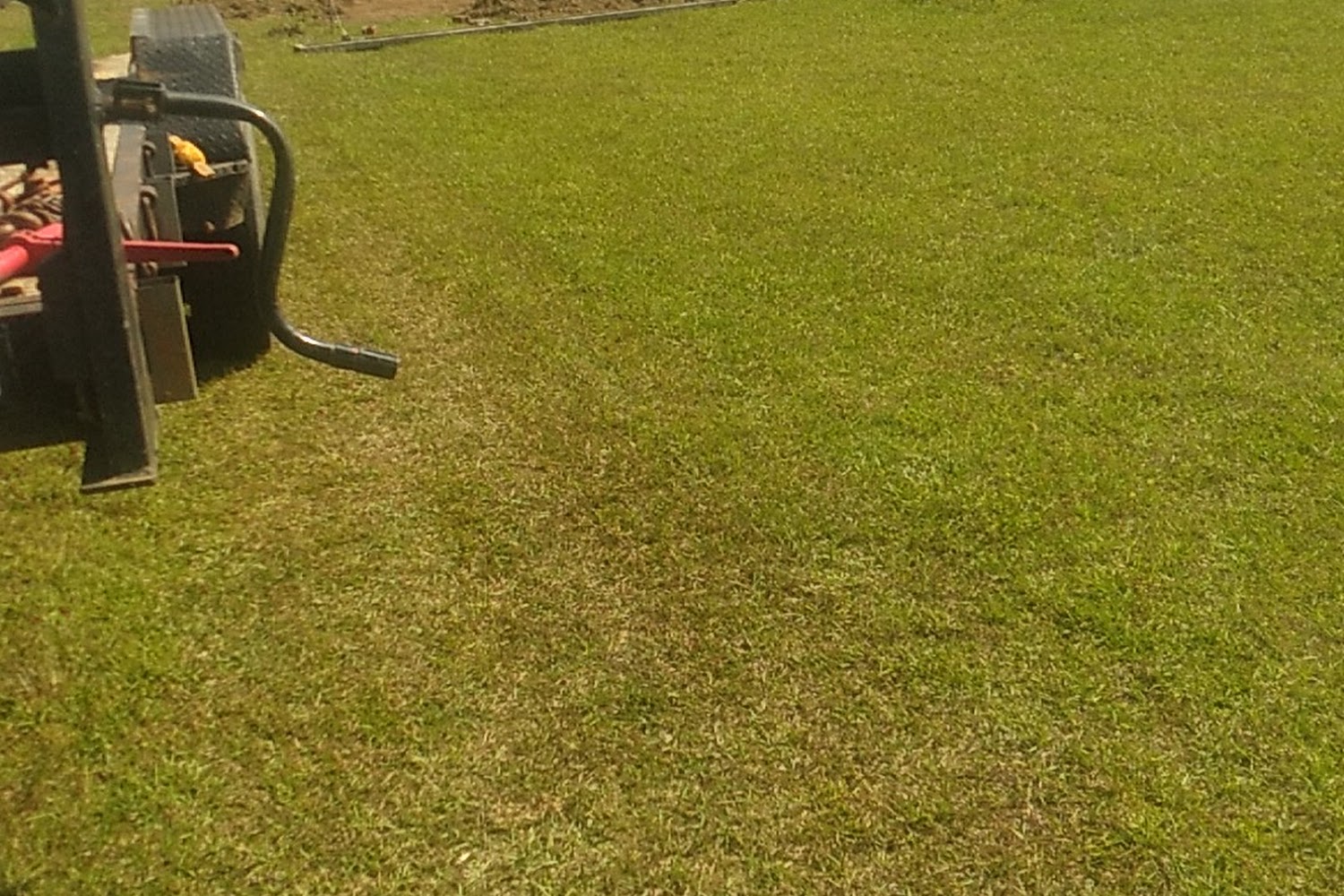 Second Chance Animal Rescue