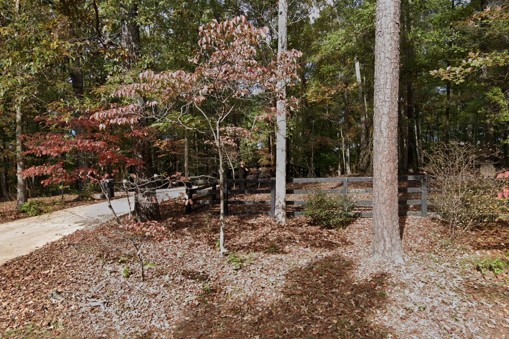 Dalmatian Club of Greater Atlanta Rescue