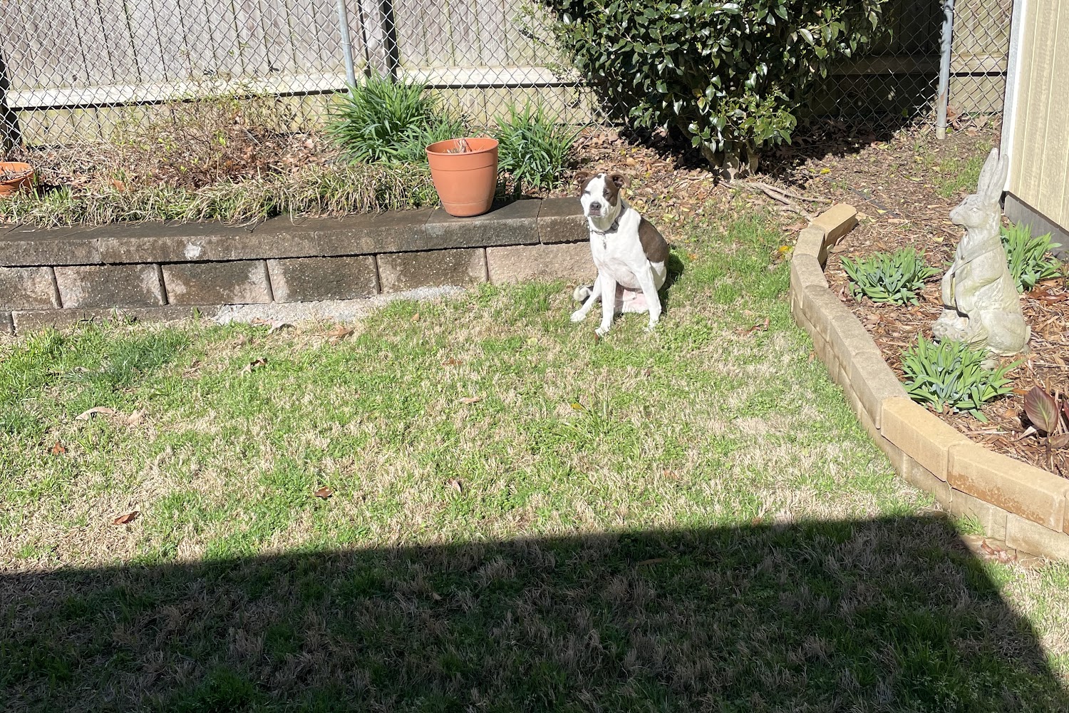 Oconee County Animal Control