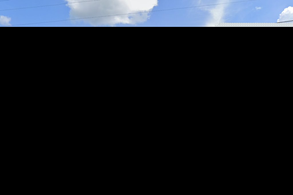 Murray County Animal Control