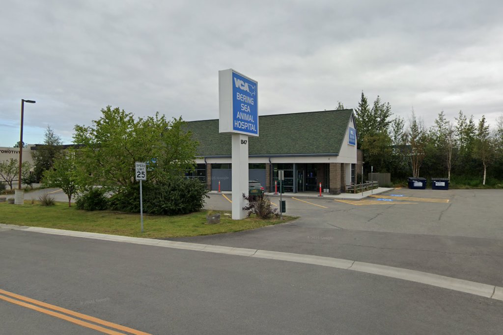 VCA Bering Sea Animal Hospital