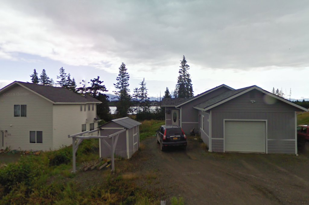 Homer Animal Friends