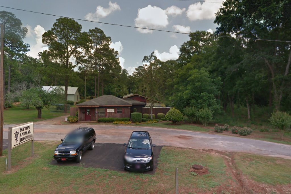 Payton Animal Hospital