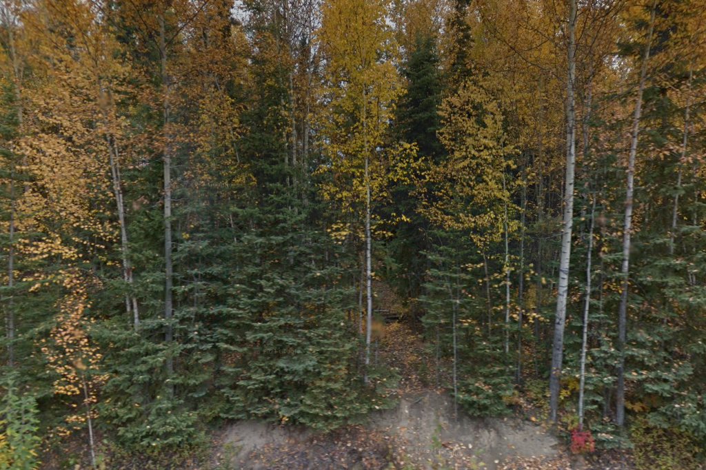 Lost-N-Found Pets & The Pet Ride Mini Shelter