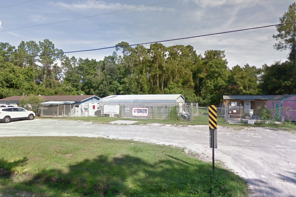 New Beginnings Animal Rescue