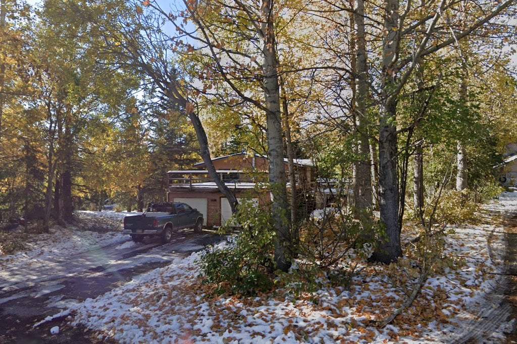 Kitty & K-9 Connection