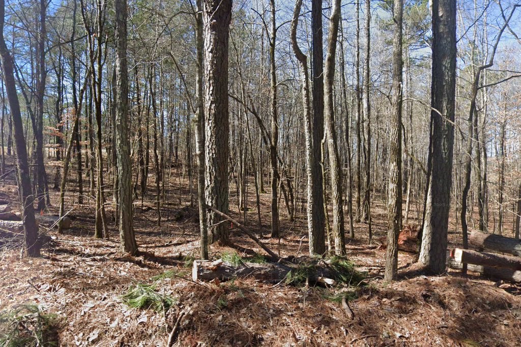 Humane Society of Griffin & Spalding County