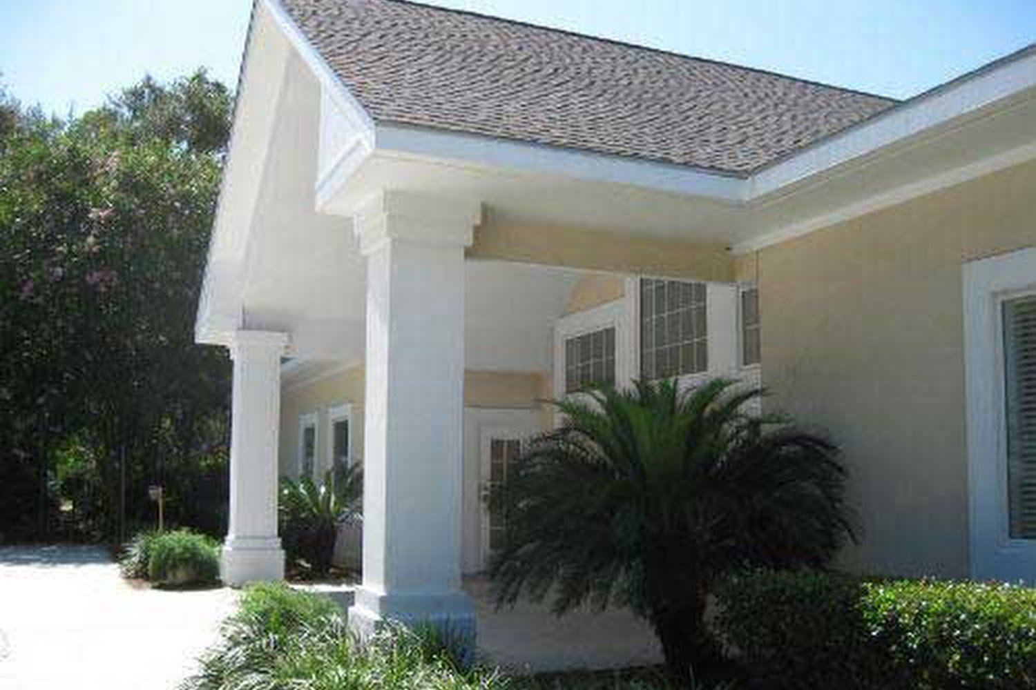 Island Animal Hospital