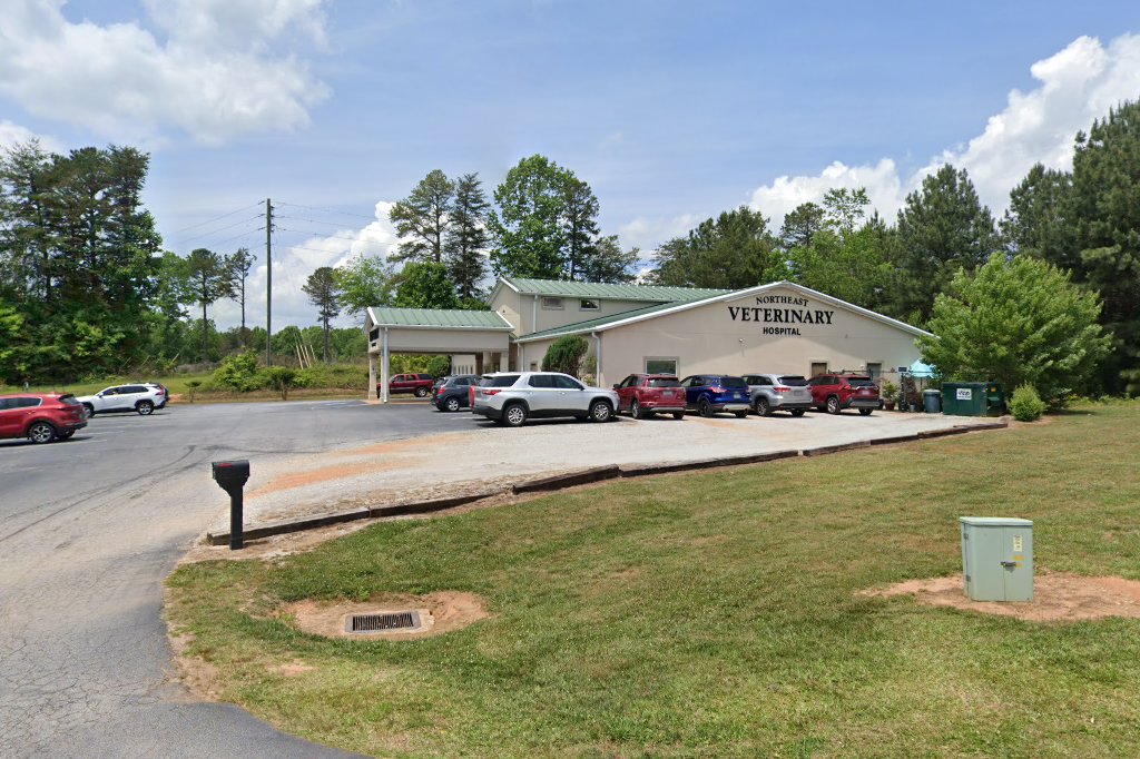 Northeast Veterinary Hospital