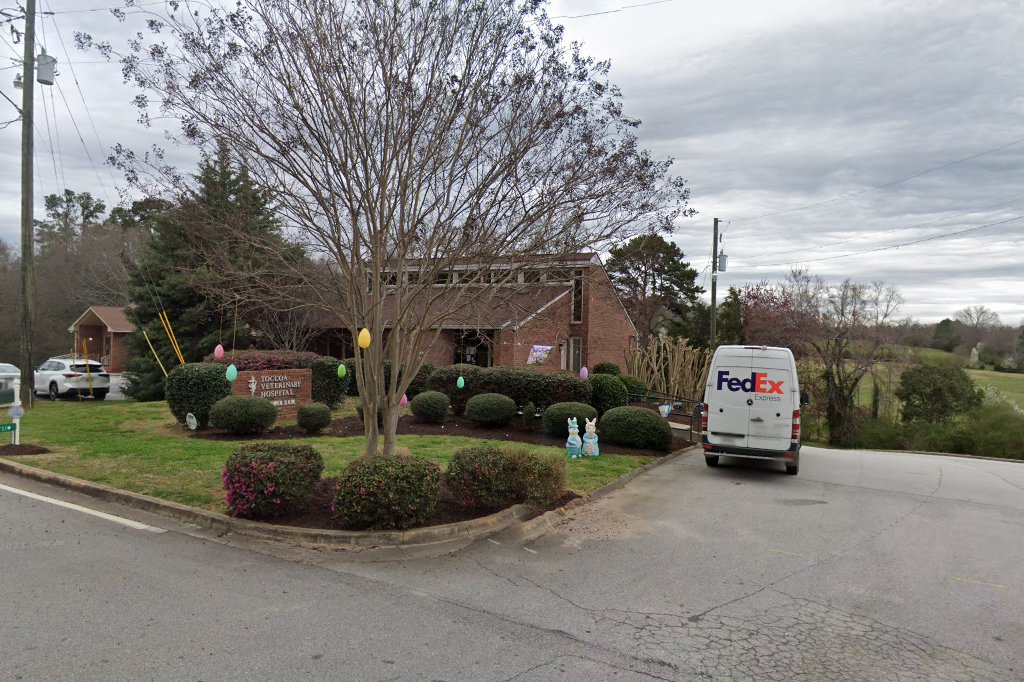 Toccoa Veterinary Hospital