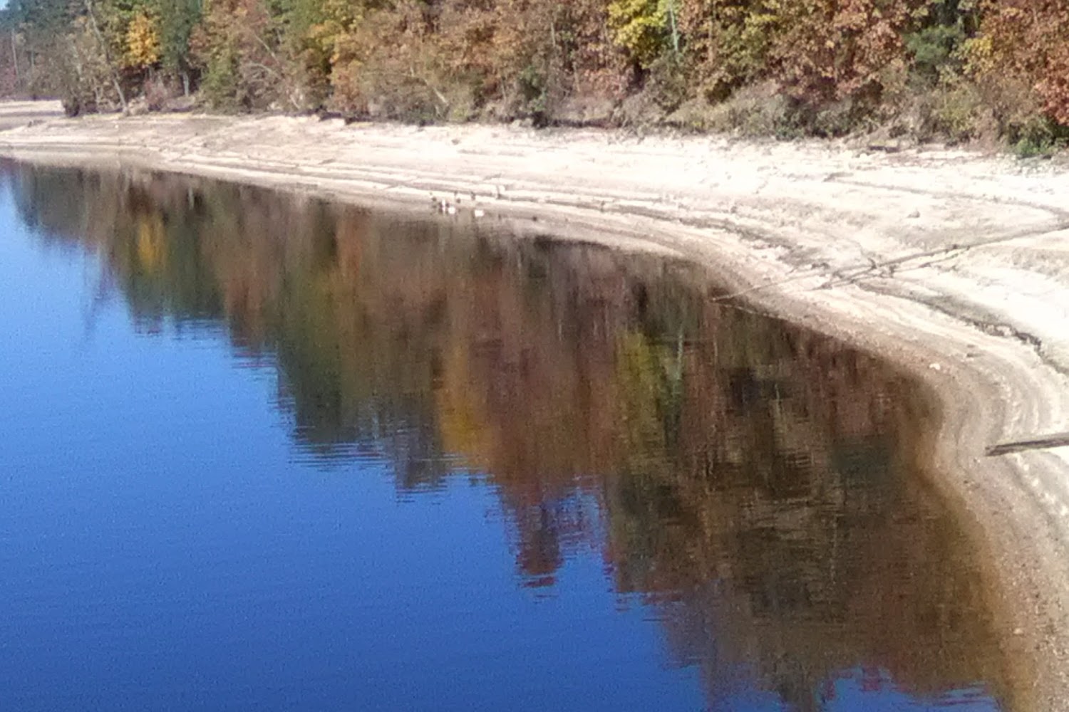 Noble Doberman Refuge