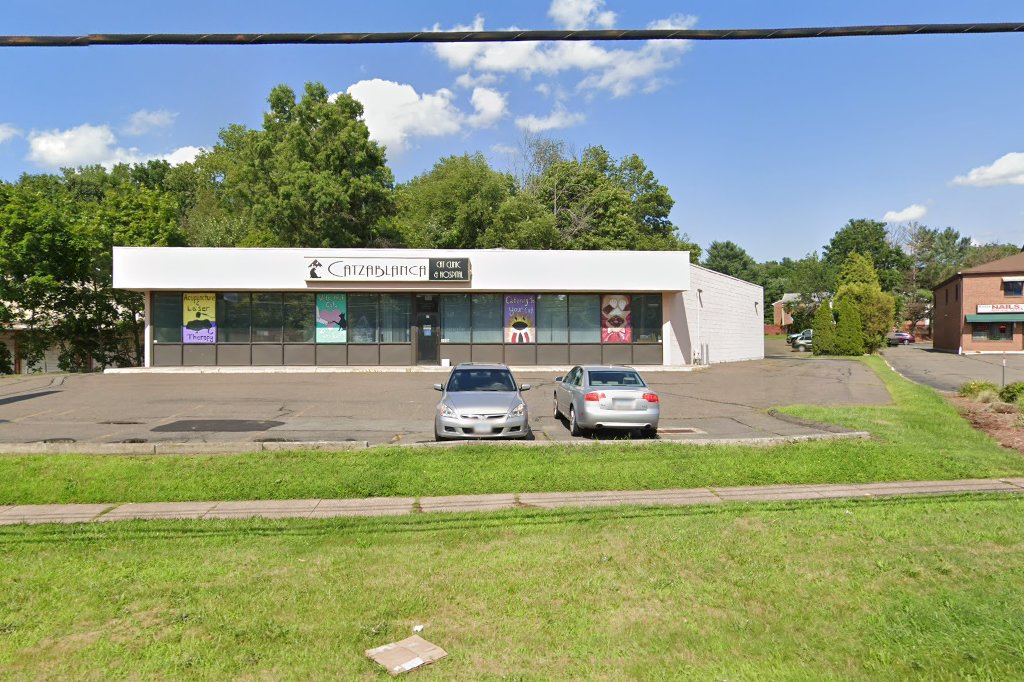 Catzablanca Cat Clinic & Hospital