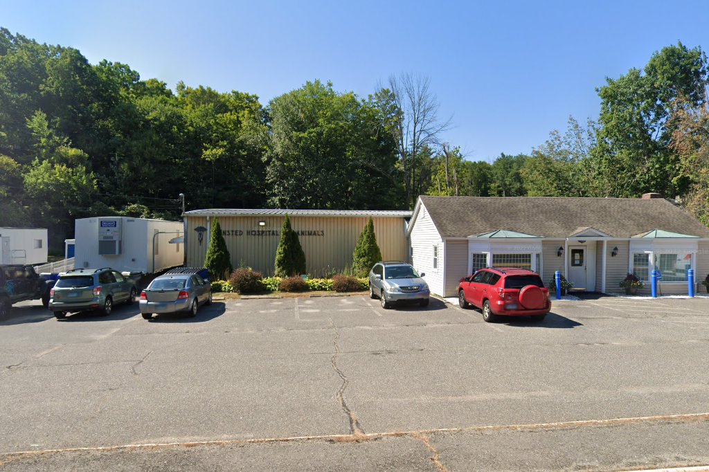 Winsted Hospital For Animals