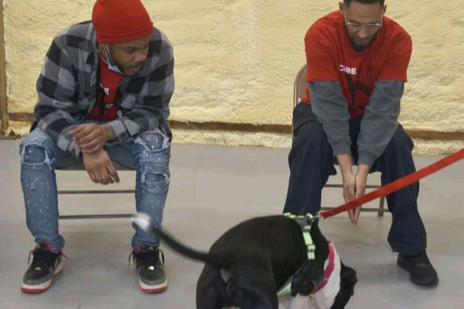 Atlanta Humane Society - Howell Mill Campus