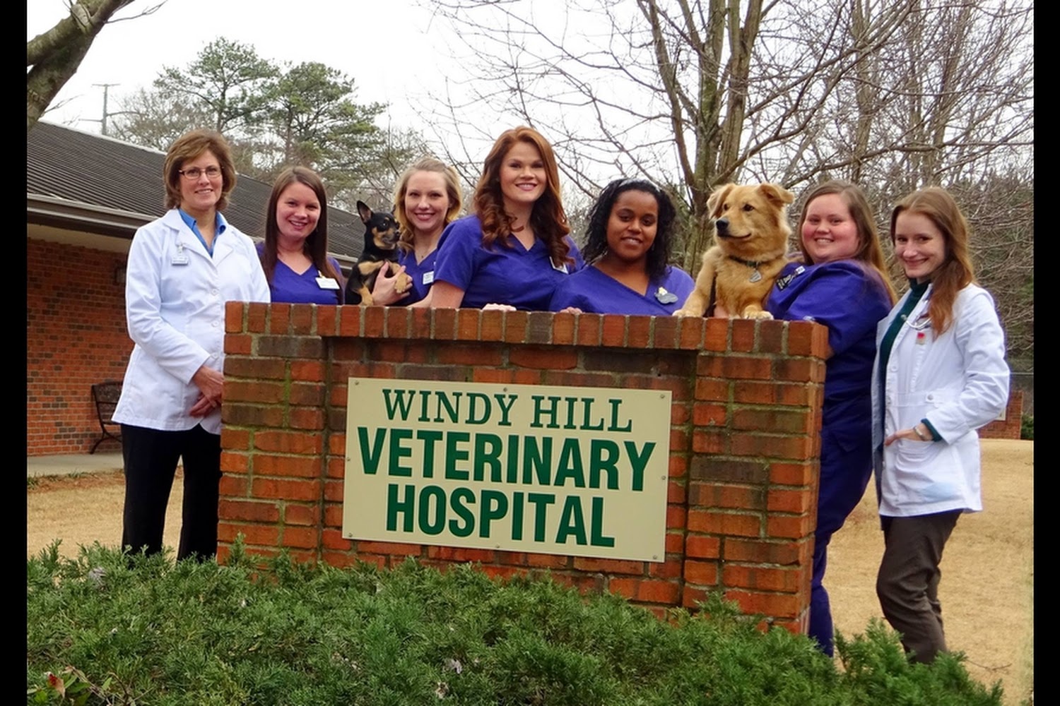 Windy Hill Veterinary Hospital
