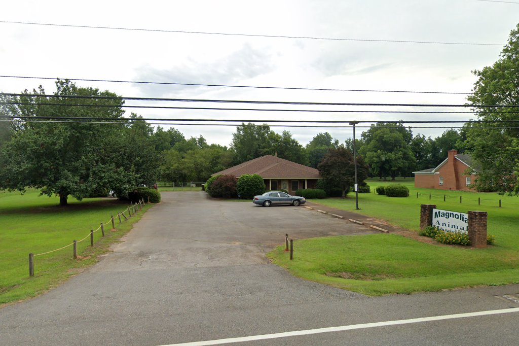 Magnolia Animal Hospital
