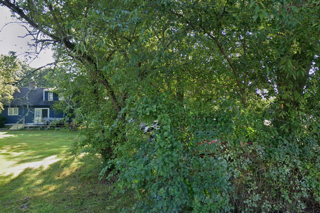 Old Lyme Veterinary Hospital