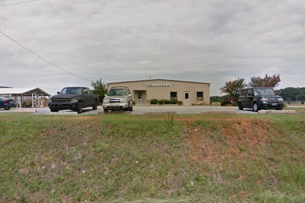 Georgia State Animal Shelter