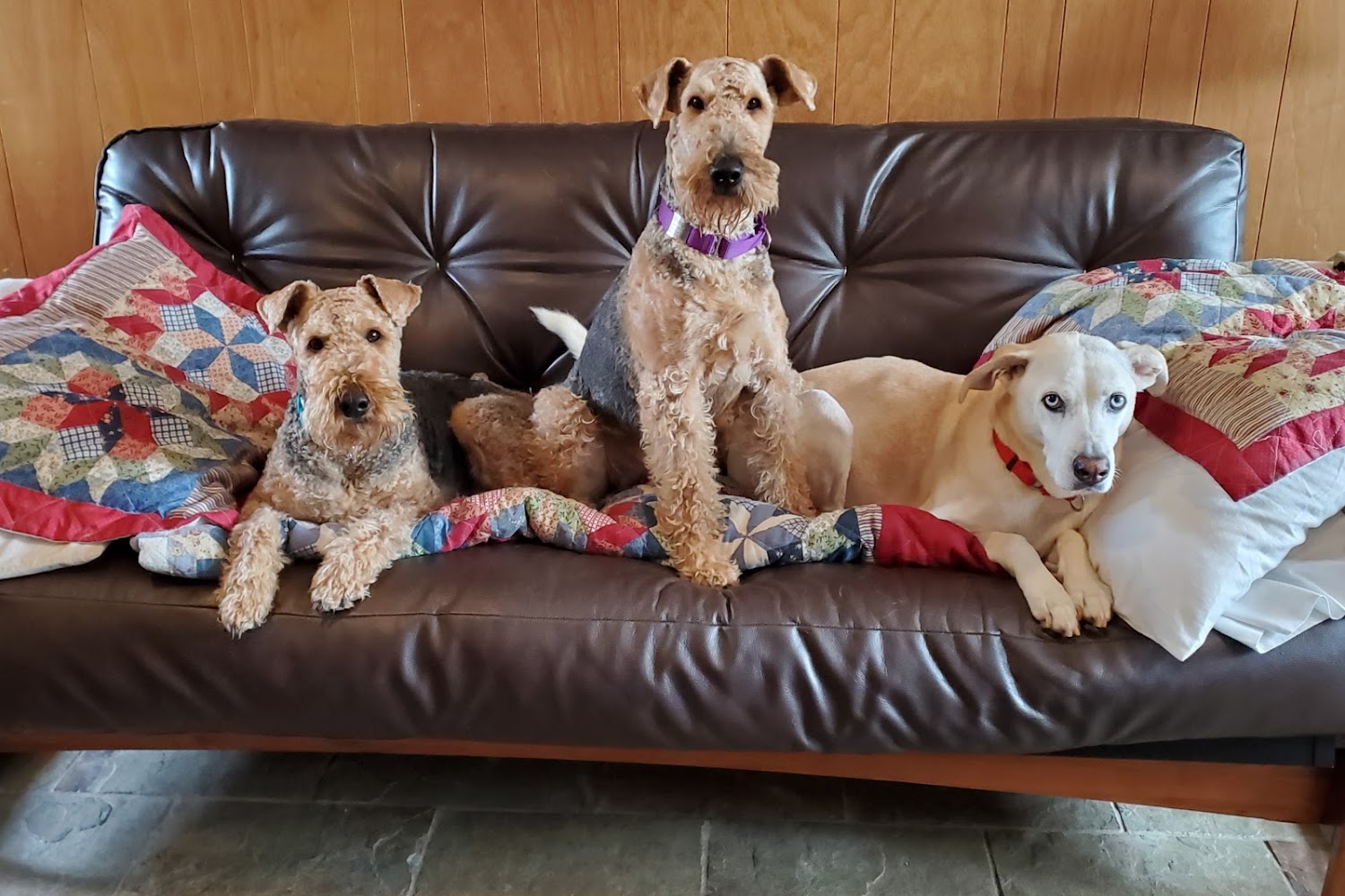 Stonington Veterinary Hospital