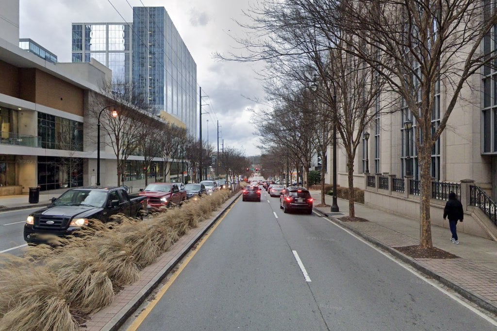 Atlanta Pet Rescue & Adoption