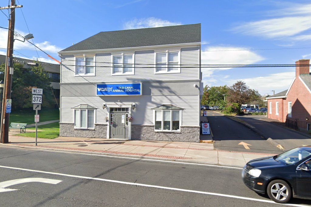 VCA Old Canal Animal Hospital