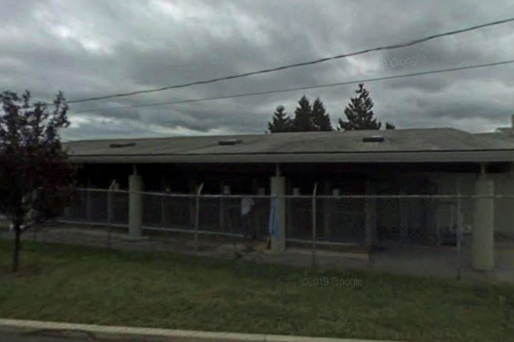 Stamford Animal Control