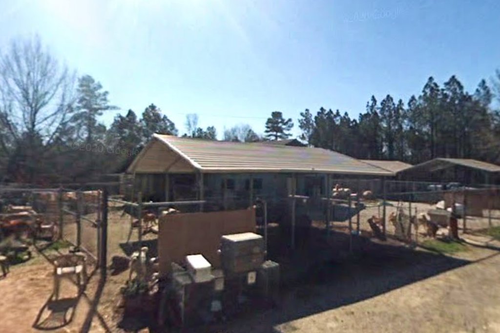 Washington Wilkes Animal Shelter