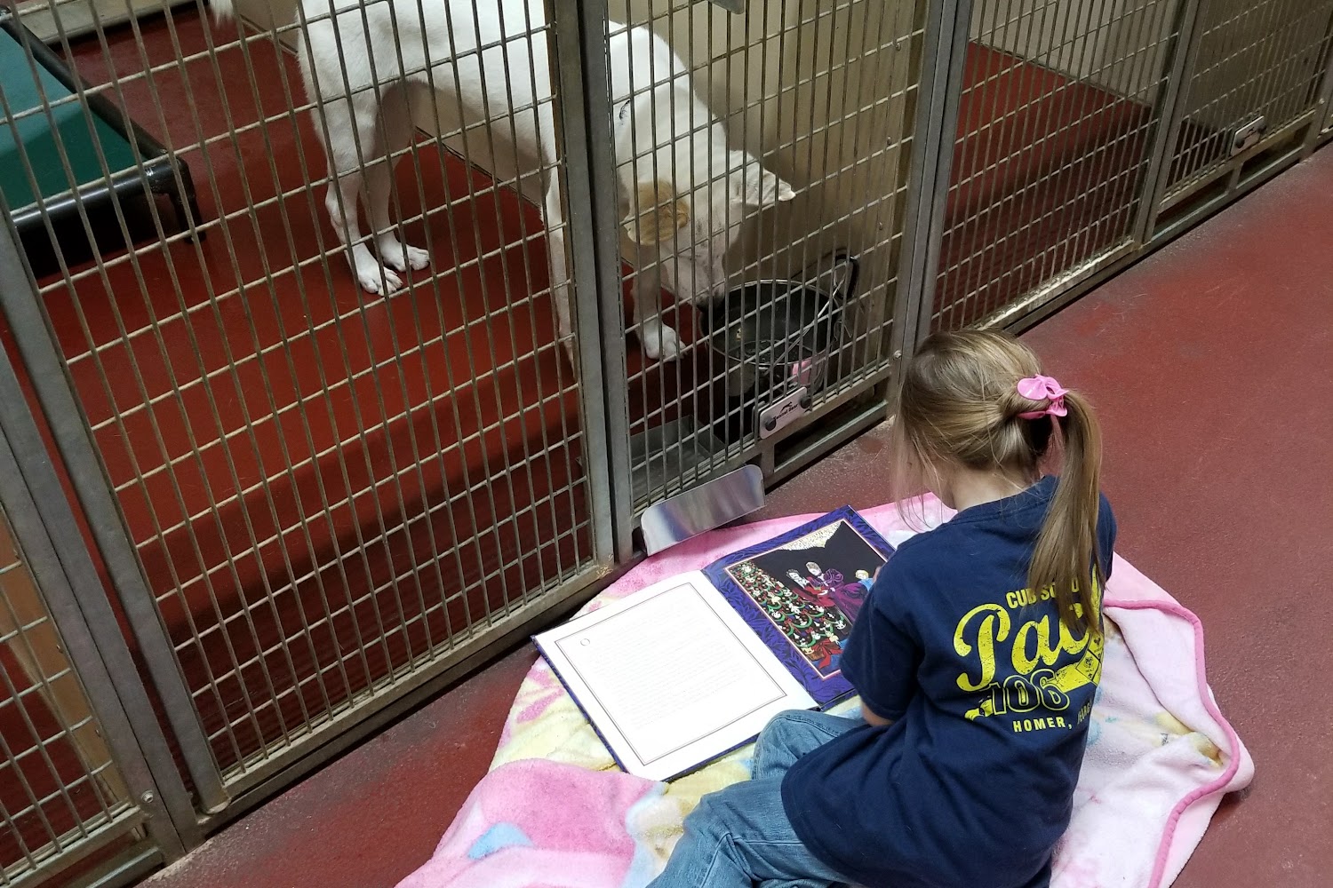 Humane Society of Northeast Georgia