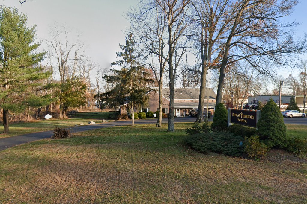 Bethany Veterinary Hospital