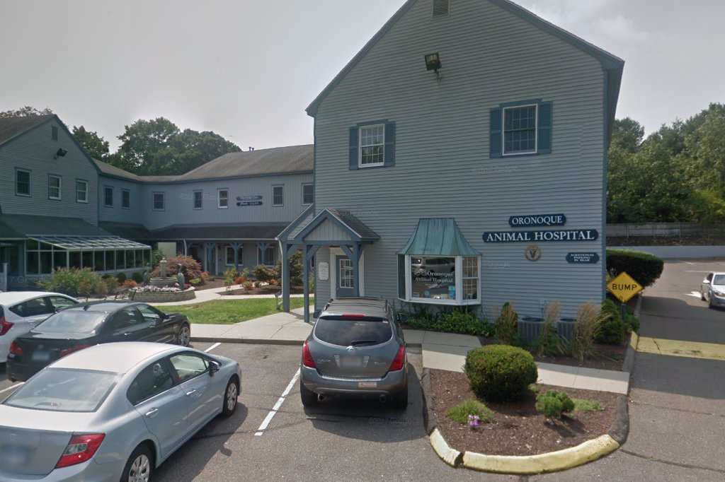 Yessenow Sheldon Z Dr Veterinary