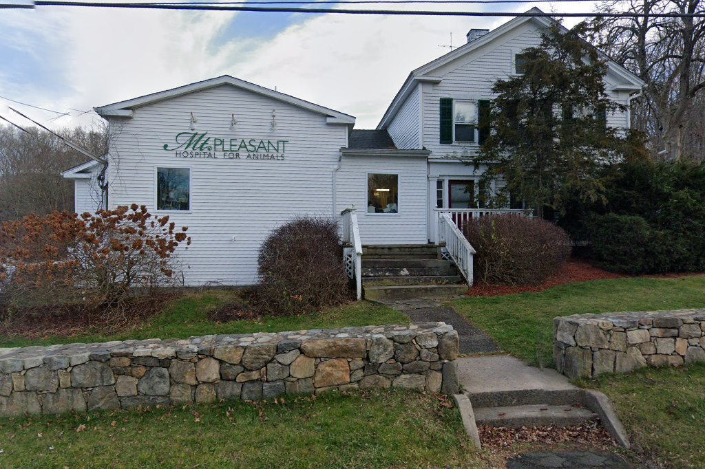 Mt Pleasant Hospital For Animals