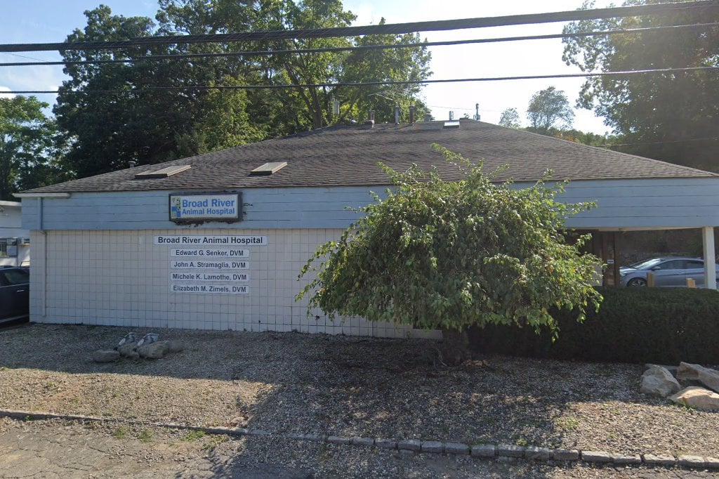 Broad River Veterinary