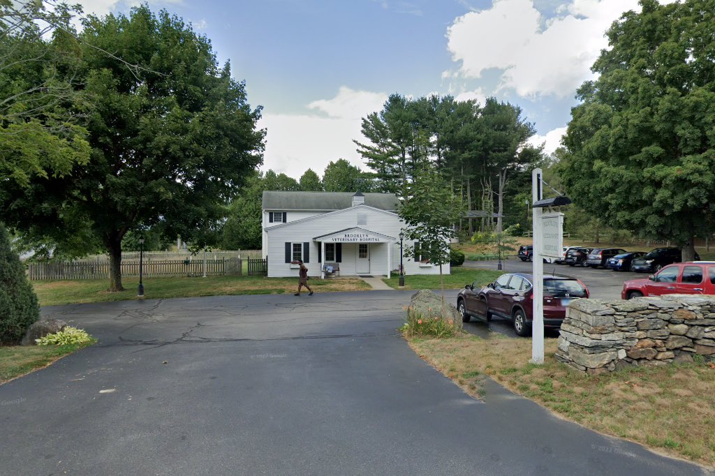 Brooklyn Veterinary Hospital