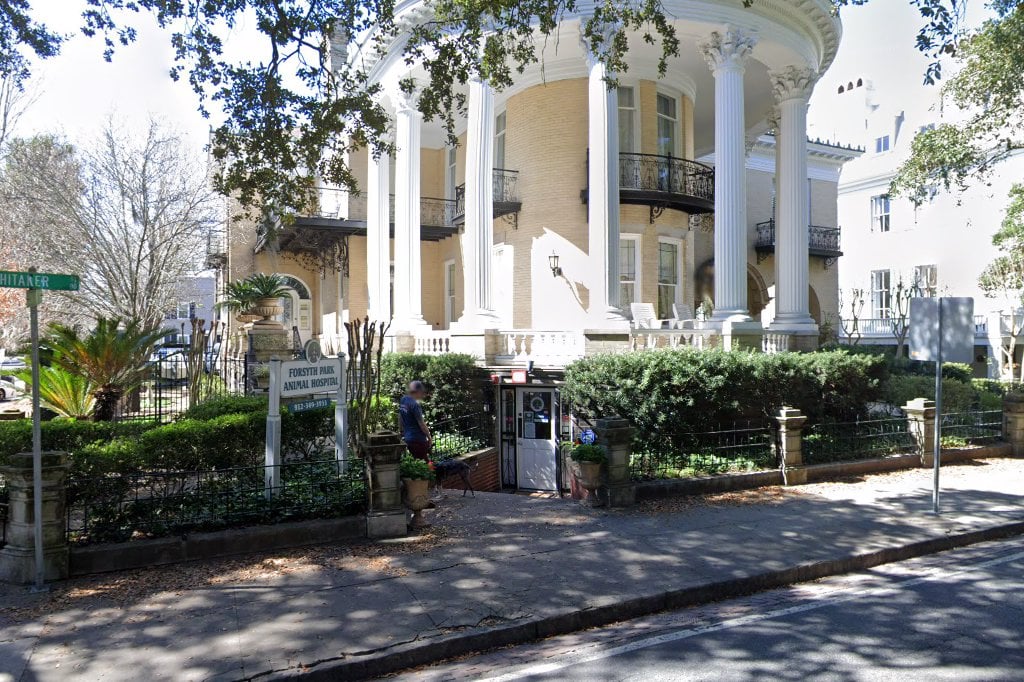 Forsyth Park Animal Hospital