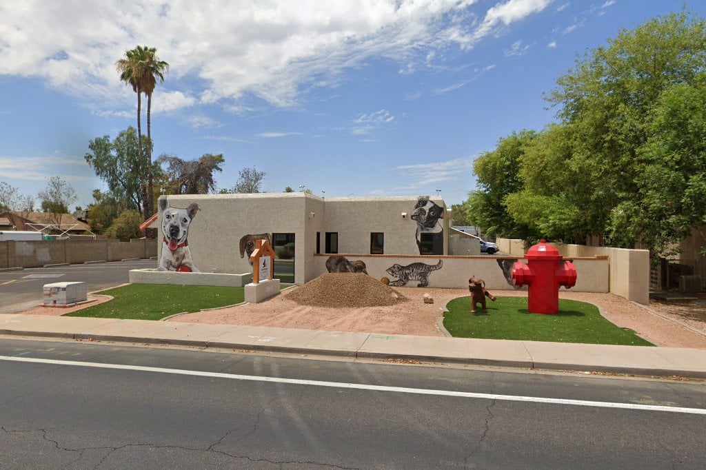 Ashne Animal Hospital