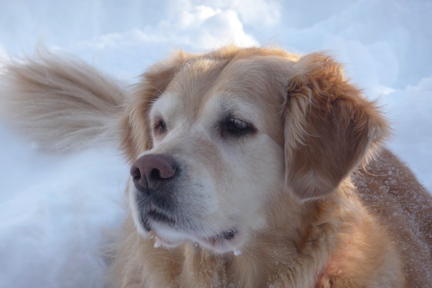 Quinebaug Valley Veterinary Hospital
