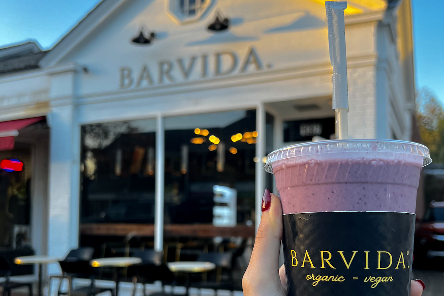 Strays and Others, Inc.