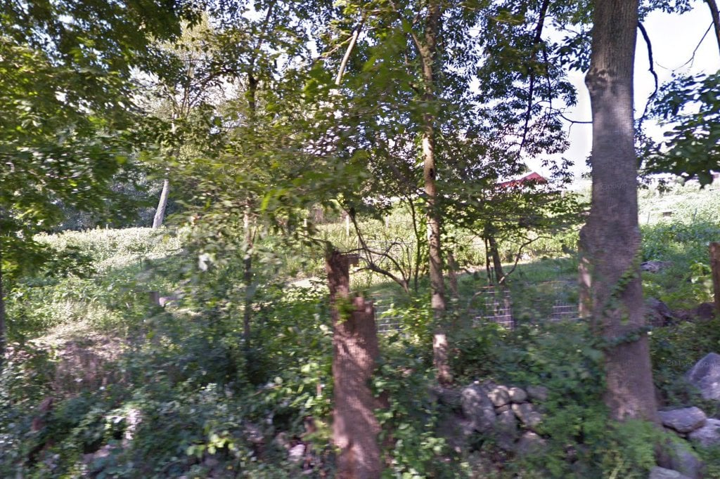 Tara Farm Rescue and Rehabilitation